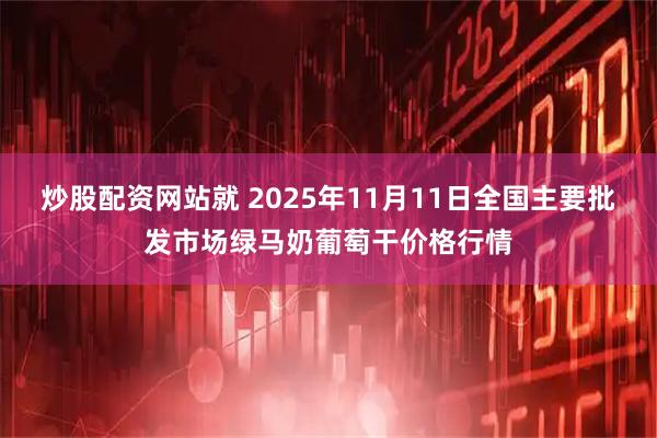 炒股配资网站就 2025年11月11日全国主要批发市场绿马奶葡萄干价格行情